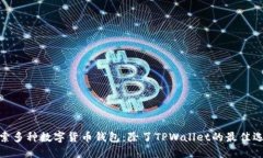 探索多种数字货币钱包：除了TPWallet的最佳选择
