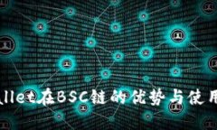 TPWallet在BSC链的优势与使用指南