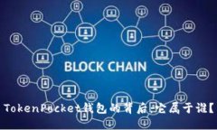 TokenPocket钱包的背后：它属于谁？