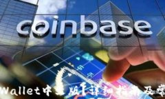 如何设置TPWallet中文版？详细指南及常见问题解答