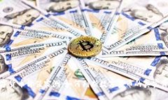 数字货币价值实测：如何判断数字货币的真实价