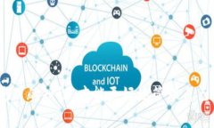 bibiao如何在TPWallet中添加公链？详细指南与常见问