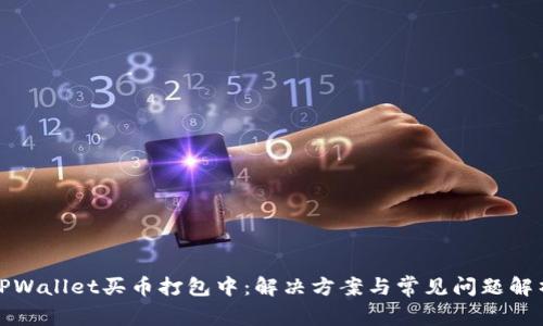 TPWallet买币打包中：解决方案与常见问题解析