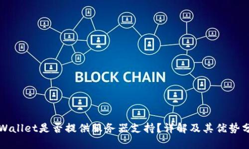 TPWallet是否提供服务器支持？详解及其优势分析